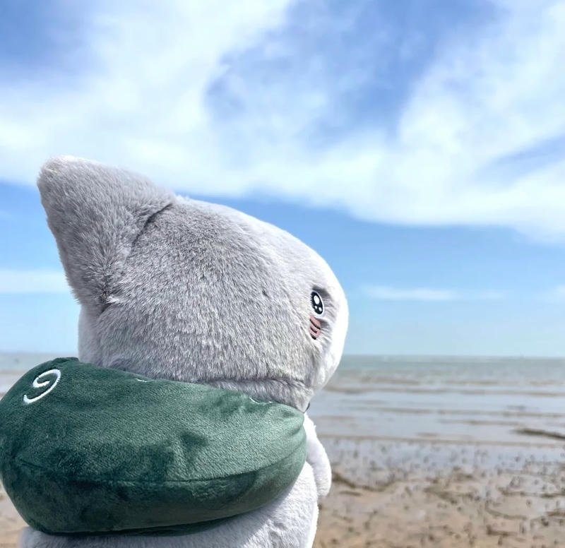 avatar cá mập cute 21