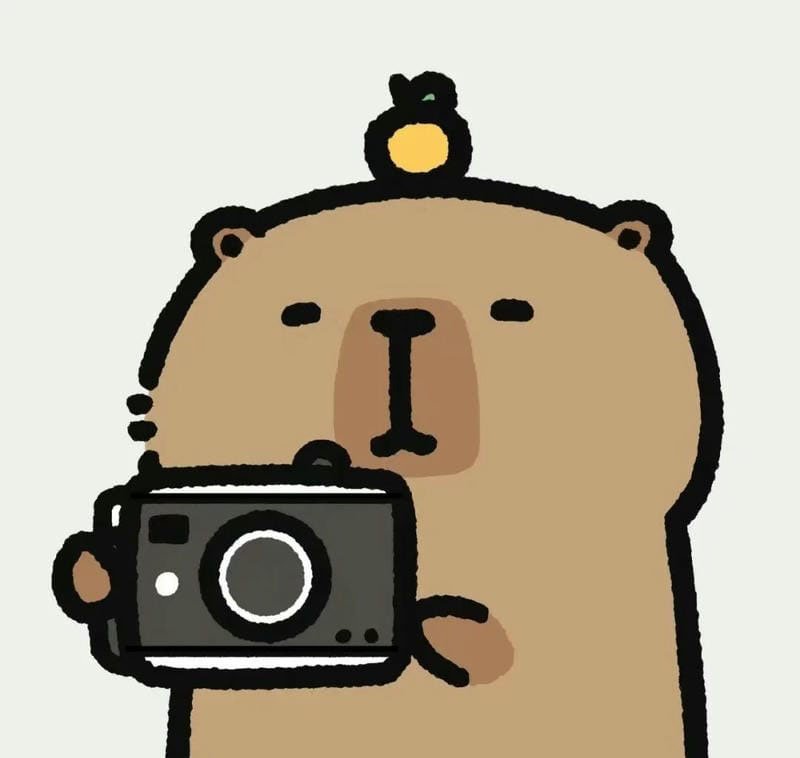 avatar capybara cute 4