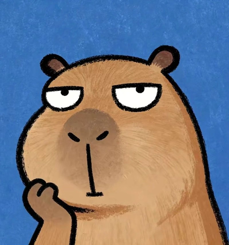 avatar capybara vô tri 14