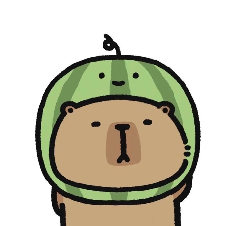 avatar capybara vô tri 18
