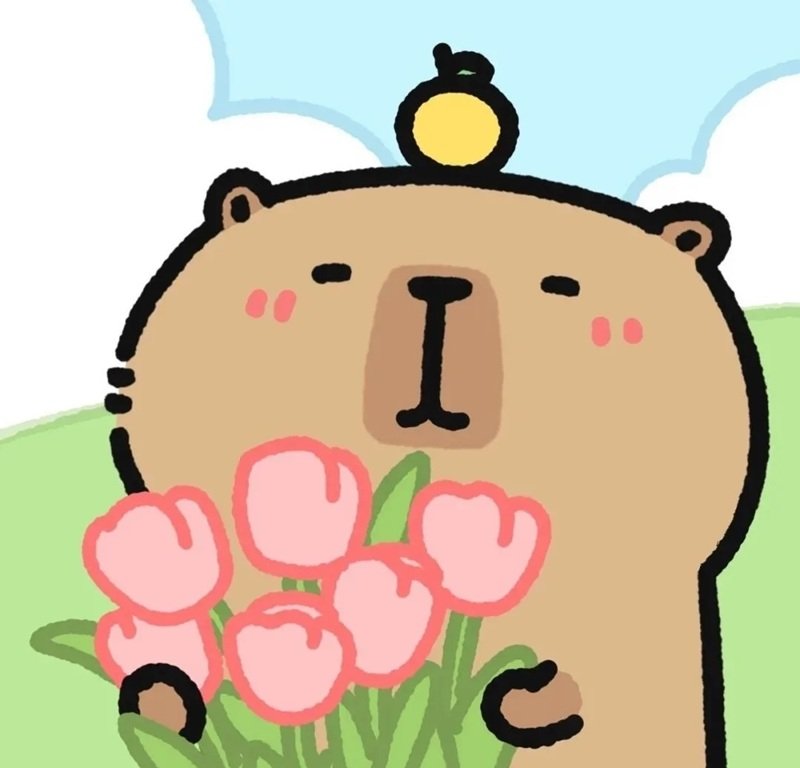 avatar capybara vô tri 20