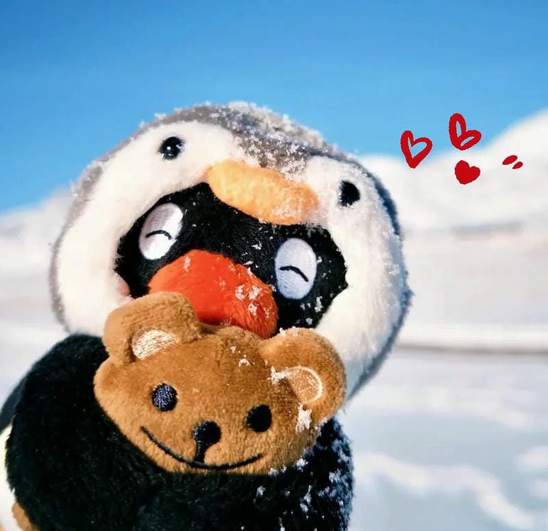 avatar chim cánh cụt cute 12