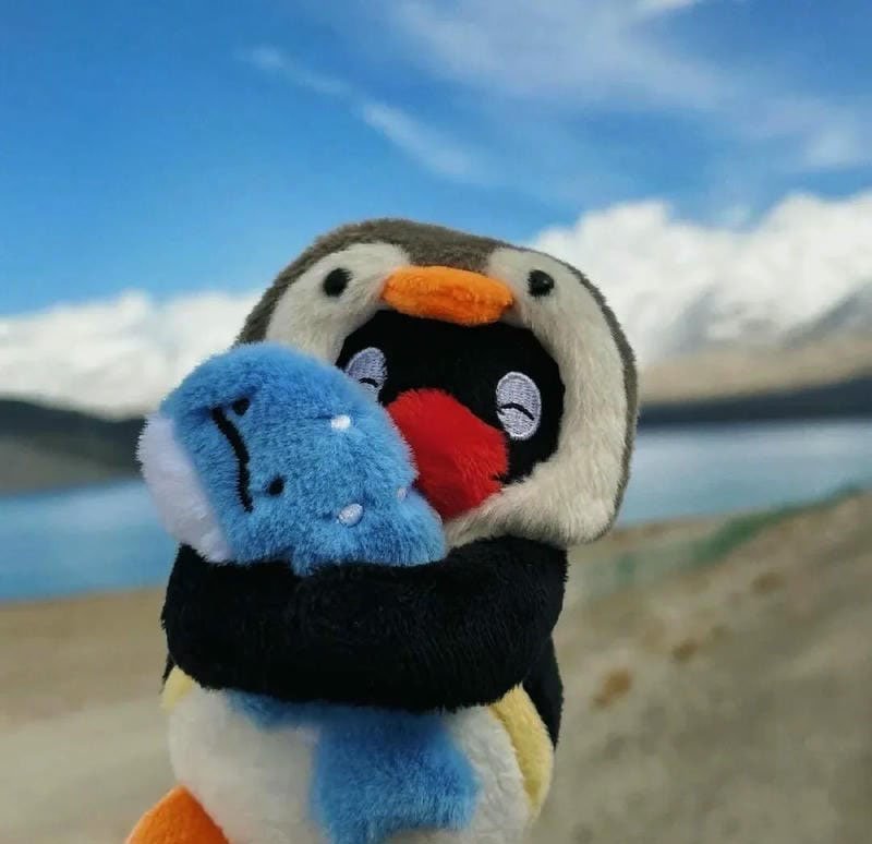 avatar chim cánh cụt cute 13