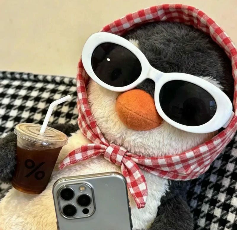 avatar chim cánh cụt cute 5