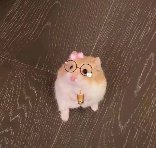 avatar chuột cute 13