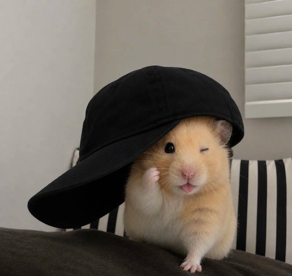 avatar chuột cute 28