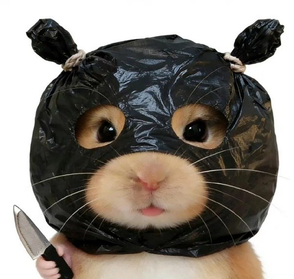 avatar chuột cute 32