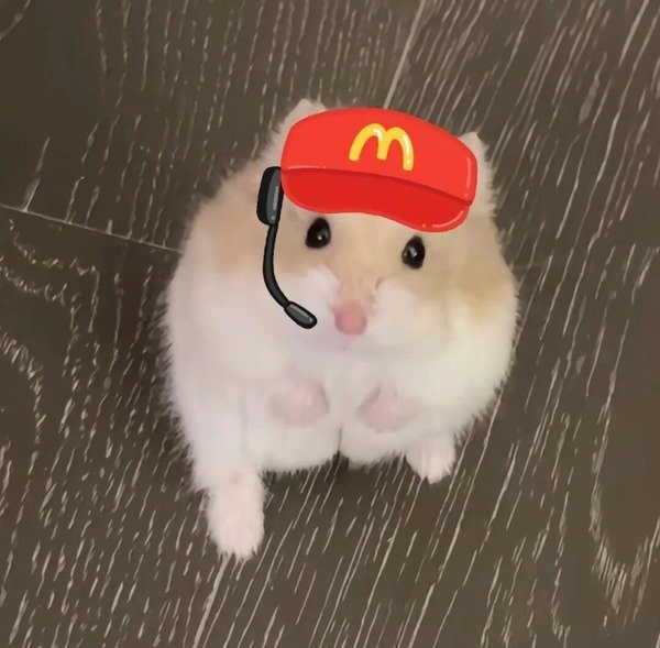 avatar chuột cute 34