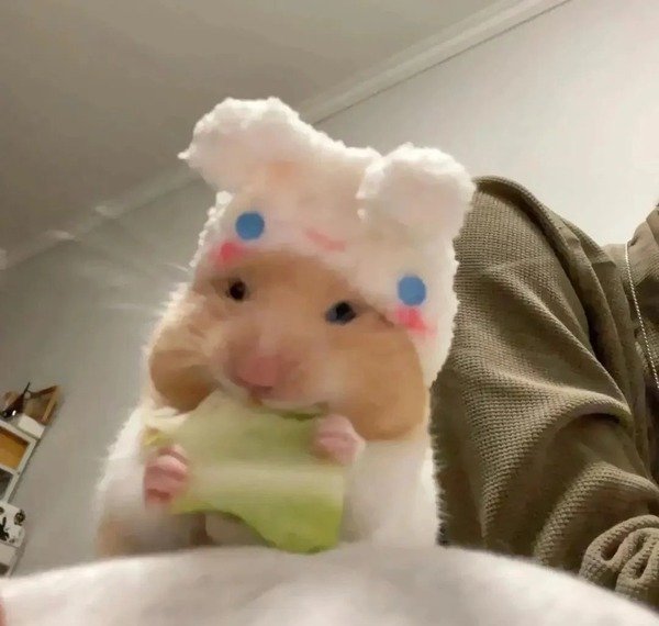 avatar chuột cute 4