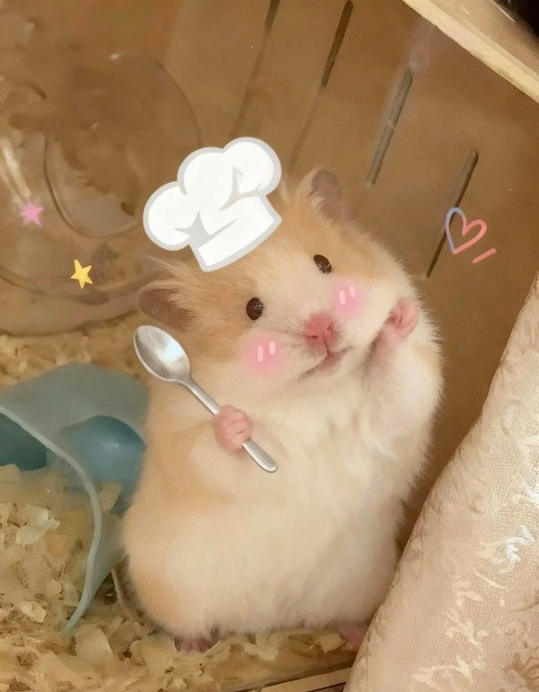 avatar chuột cute 8
