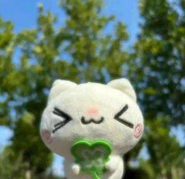 avatar cỏ 4 lá cute 40