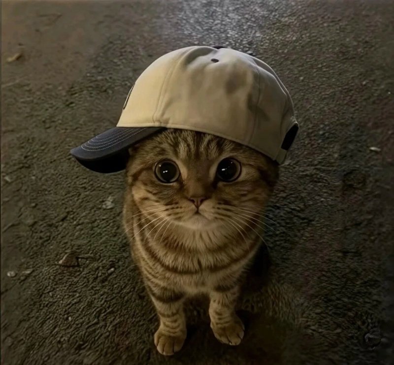 avatar cute vô tri 16