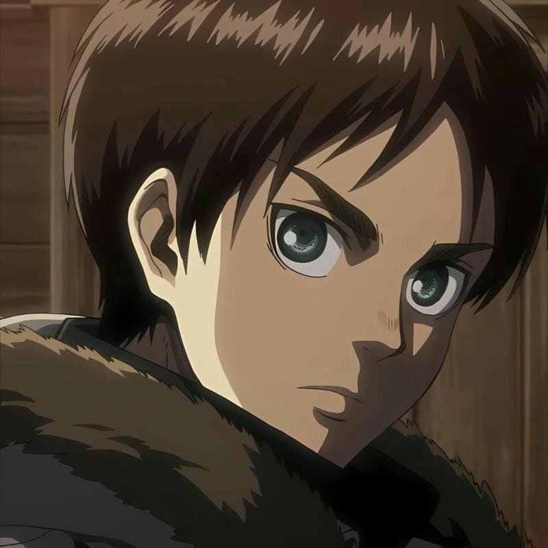 avatar eren 13