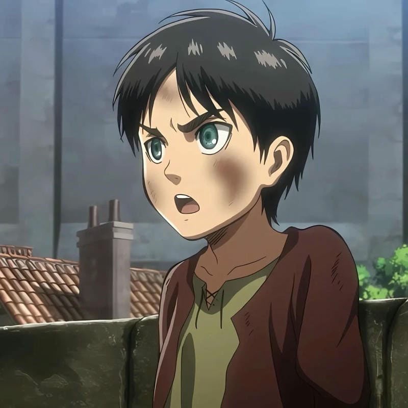 avatar eren 14