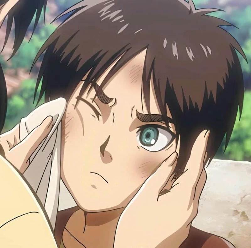 avatar eren 15