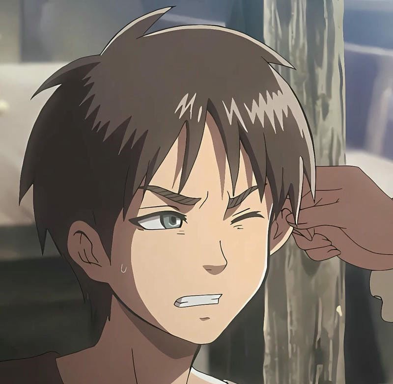 avatar eren 22