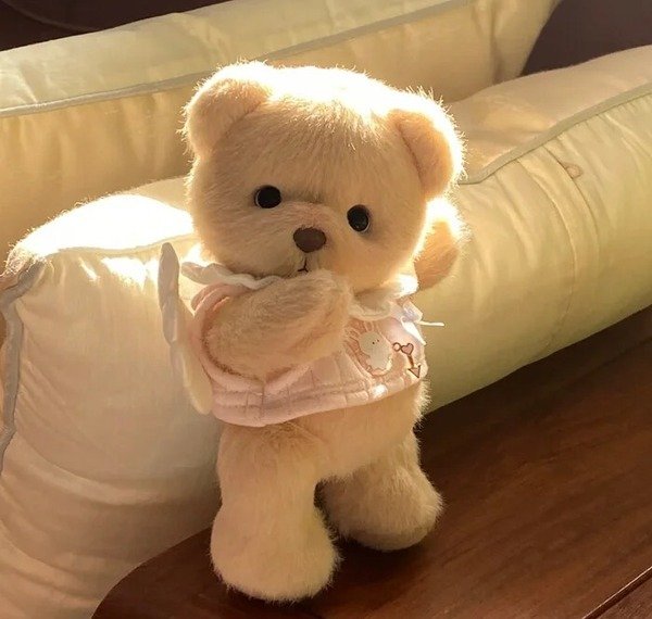 432+ Avatar gấu bông cute mềm mại cho ảnh đại diện xinh xắn