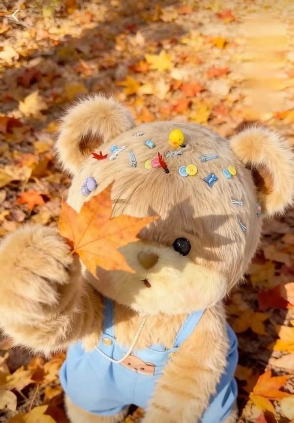 avatar gấu bông cute 3