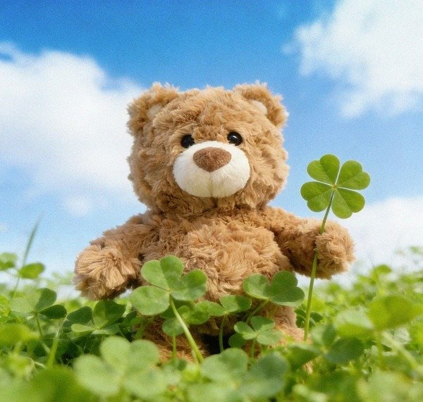 avatar gấu bông cute 9