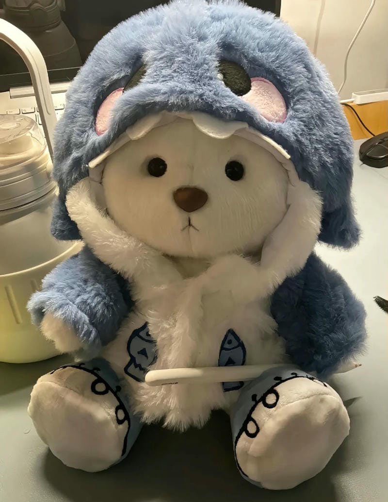avatar gấu cute 4
