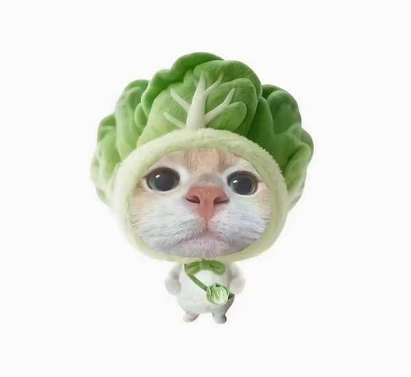 avatar hài cute 13