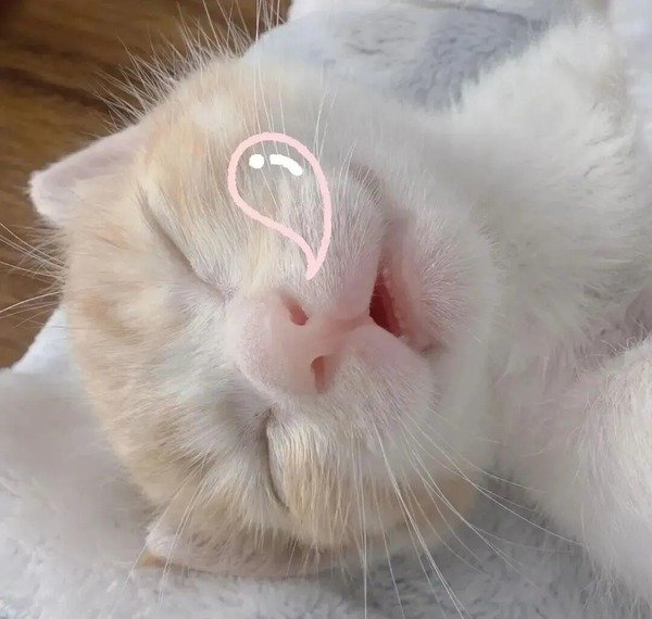 avatar hài cute 2