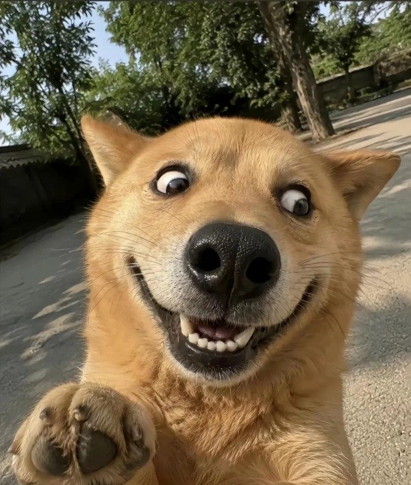 avatar hài cute 29