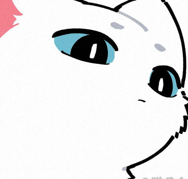 avatar mèo cute anime 10