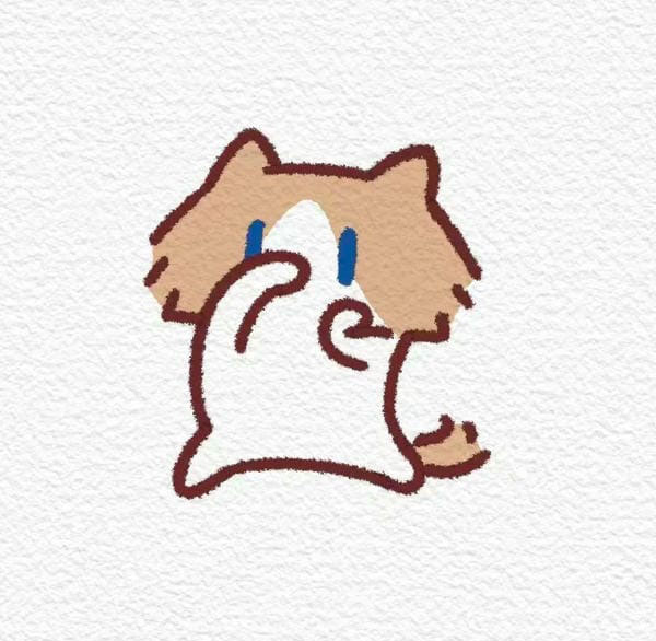 avatar mèo cute anime 14