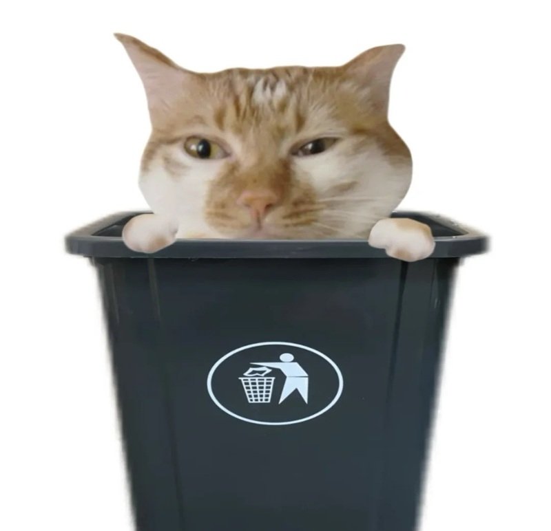 avatar mèo vô tri 7