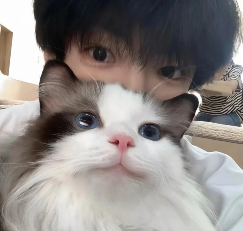 avatar ngầu cho nam 3