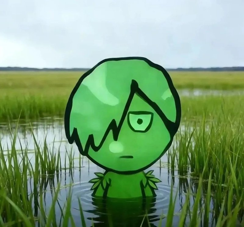 avatar nhóm 4 người vô tri 23