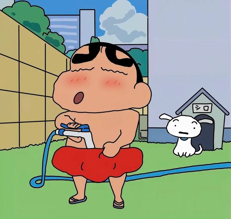 avatar shin vô tri 10