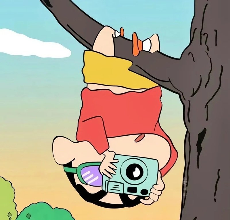 avatar shin vô tri 12