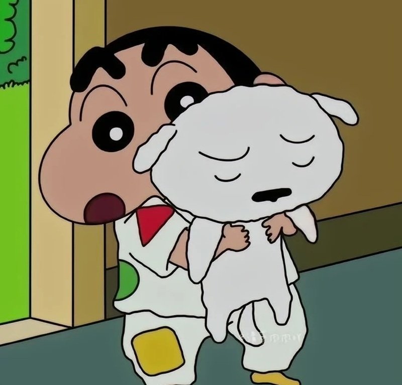 avatar shin vô tri 20