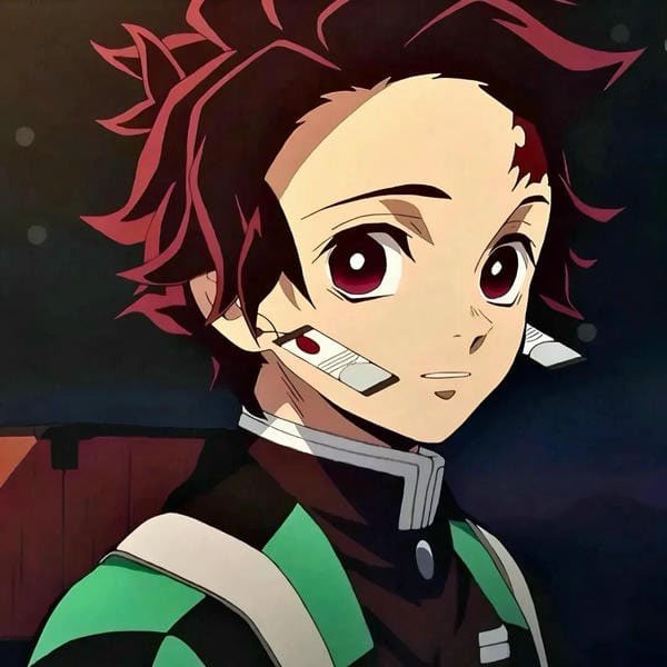 avatar tanjiro 29