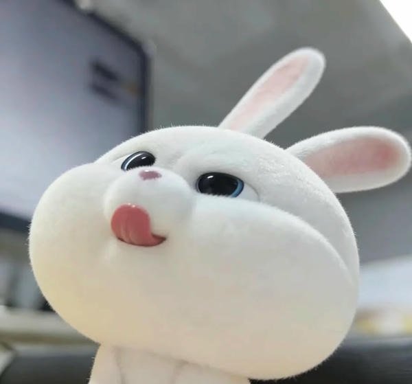 avatar thỏ cute 16