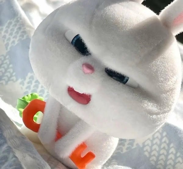 avatar thỏ cute 17