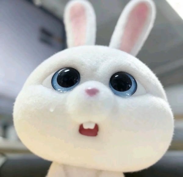 avatar thỏ cute 18