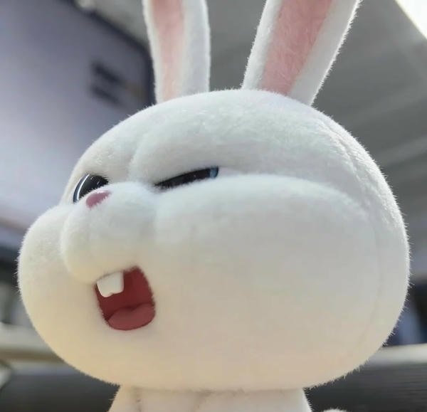 avatar thỏ cute 4