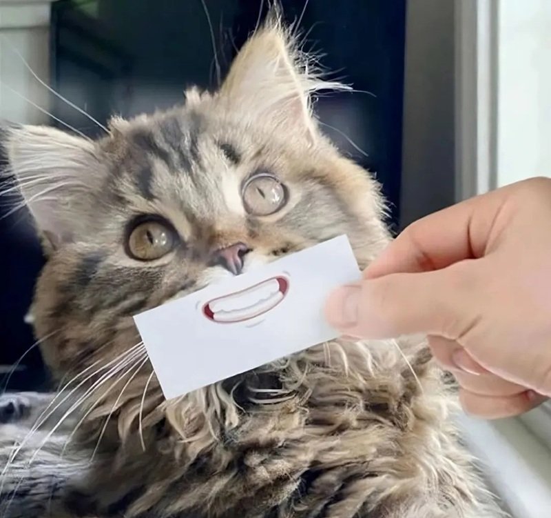 avatar tiktok vô tri 17