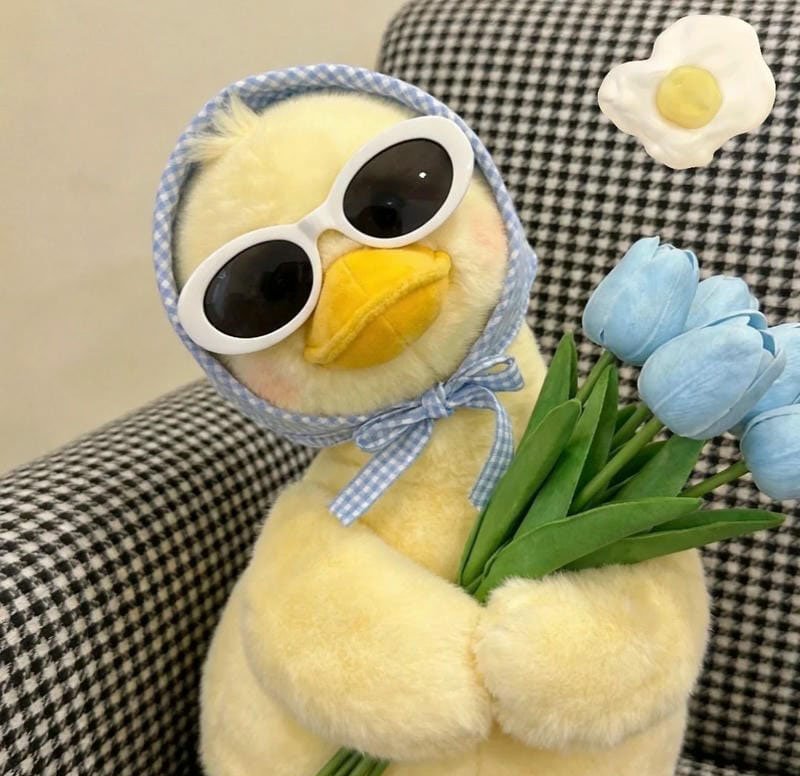 avatar vịt cute 13
