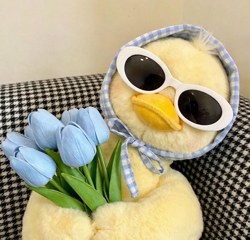 avatar vịt cute 14