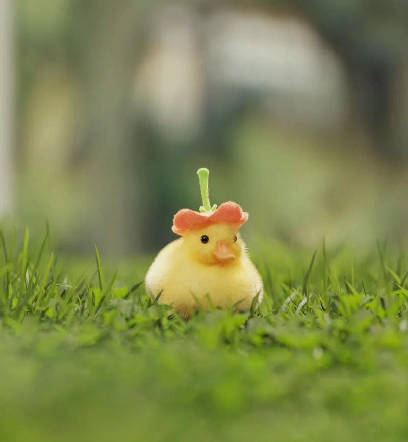 avatar vịt cute 23