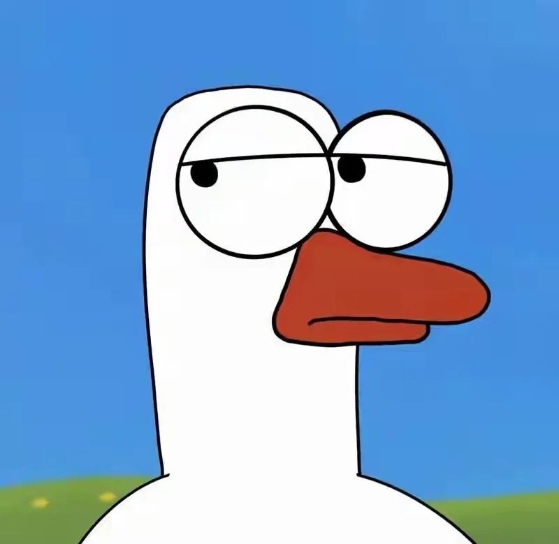 avatar vịt vô tri 12