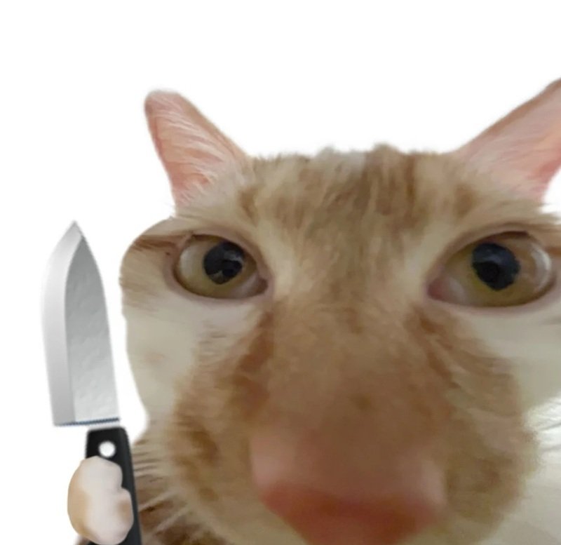 avatar vô tri meme 1