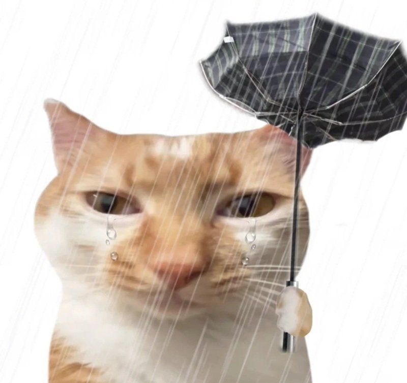 avatar vô tri meme 2