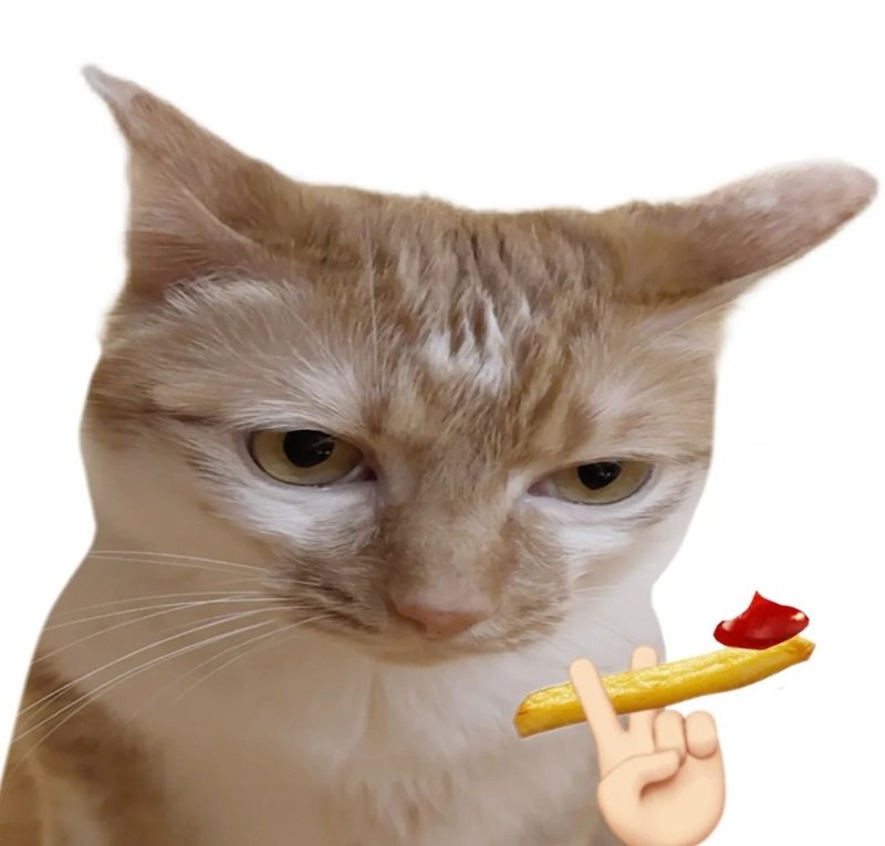 avatar vô tri meme 5