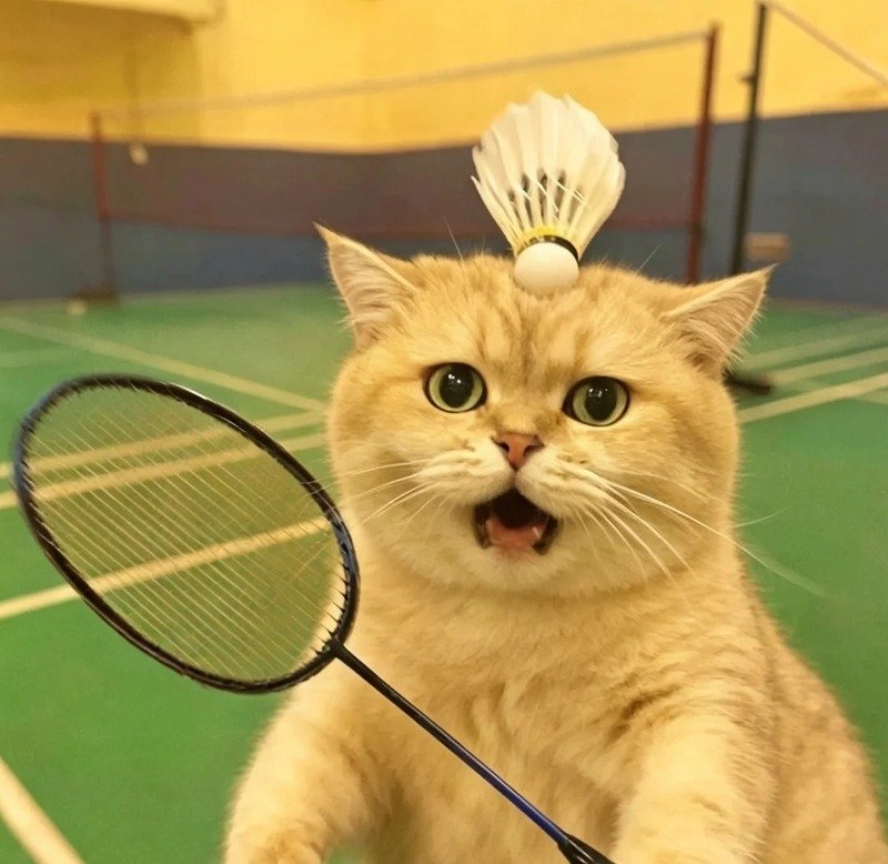avatar cầu lông cute 9