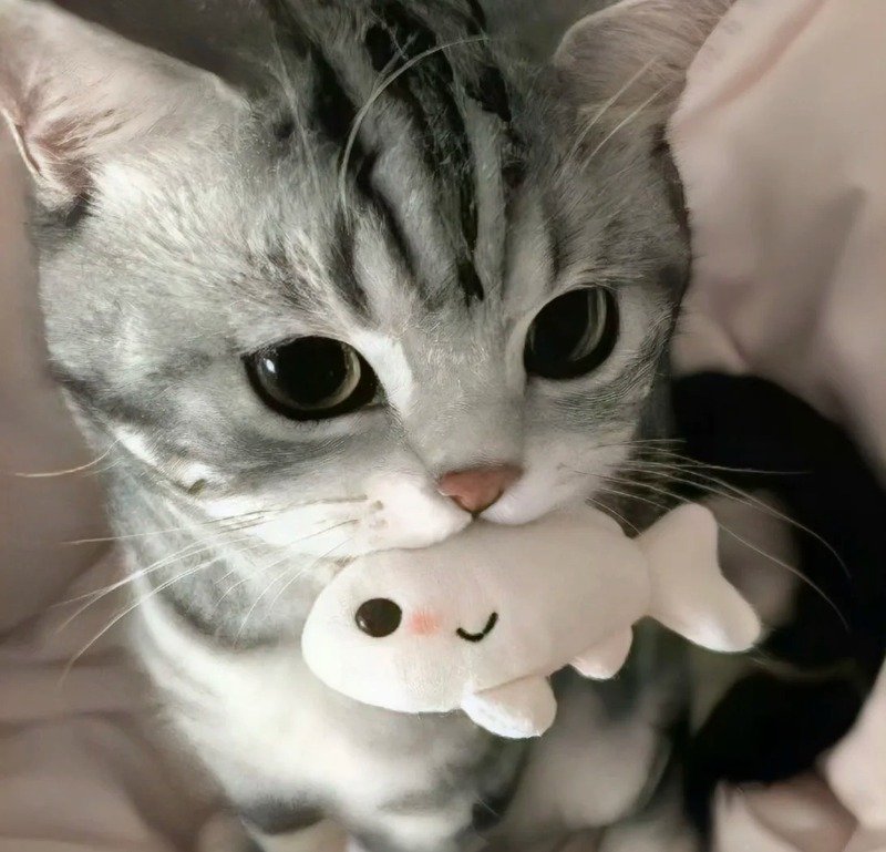 avatar con vật cute 10